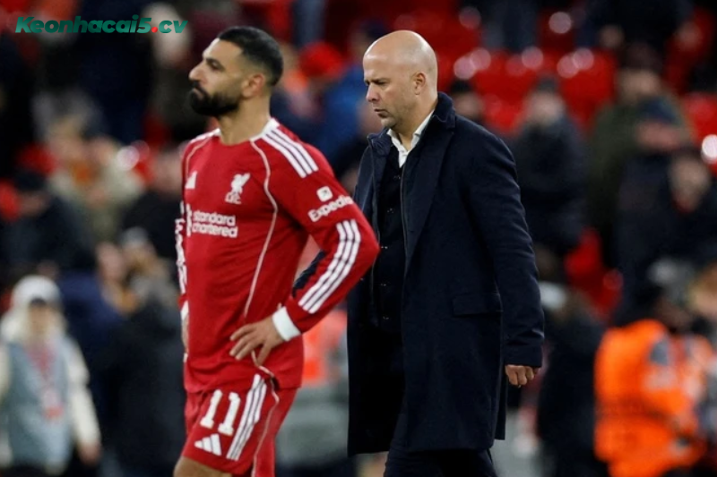 Đội hình dự kiến trước trận Liverpool vs Sunderland Đội hình dự kiến trước trận Liverpool vs Sunderland
